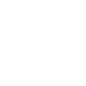 Adapt Access Digital Marketing Agency white logo